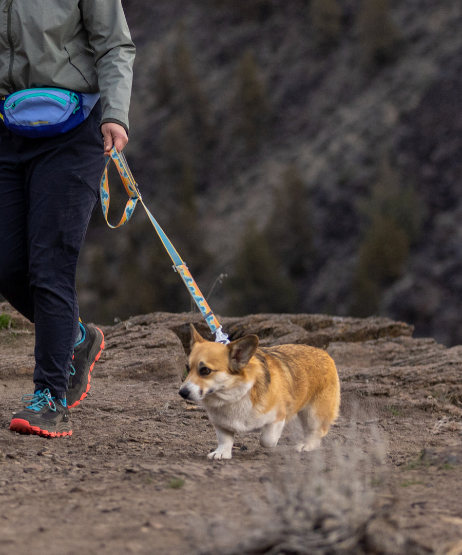 ruffwear-laisse-main-libre-pour-chien-Crag-Hands-Free-Leash-RisingWave