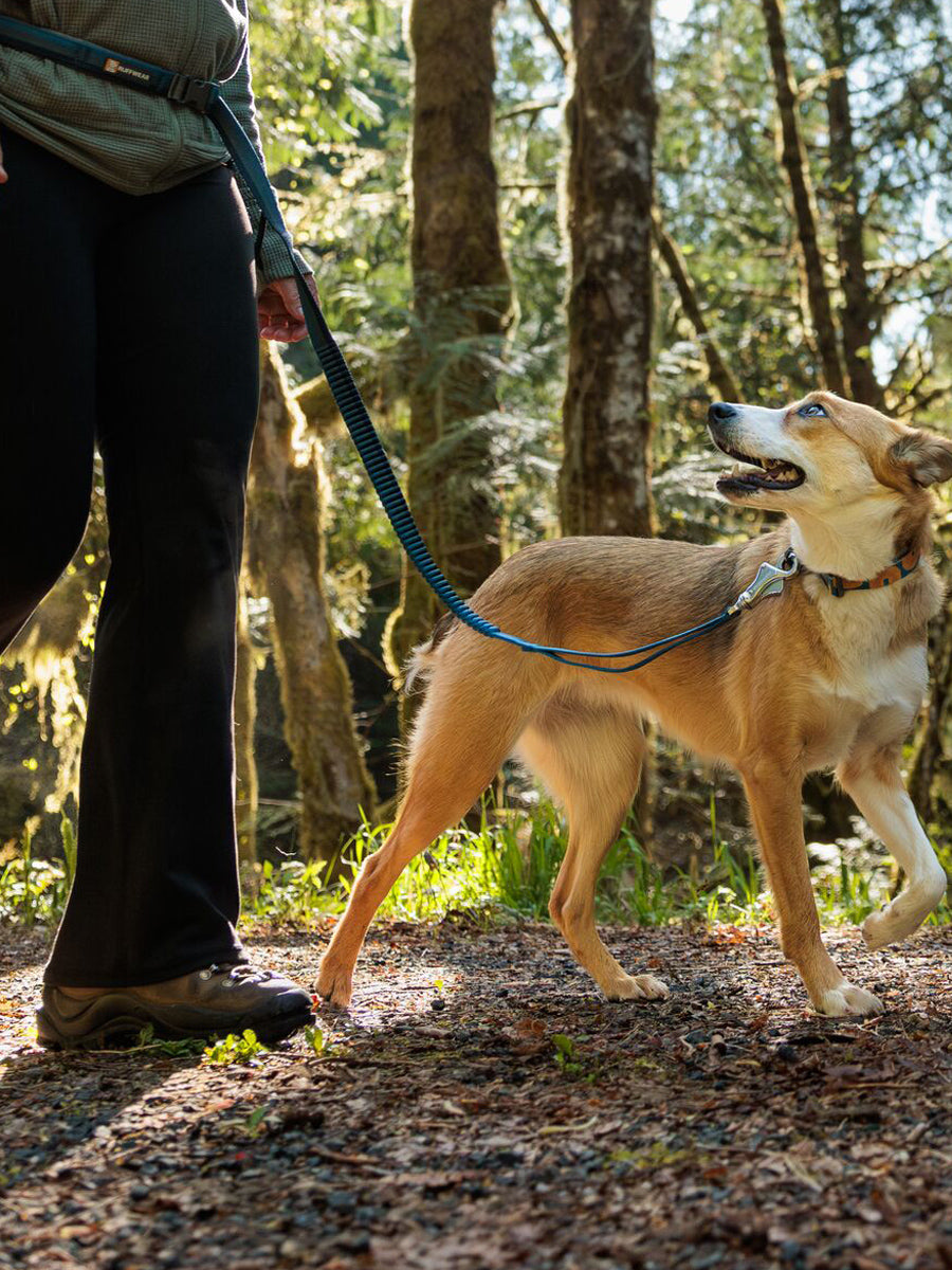 ruffwear-laisse-main-libre-pour-chien-roamer-bleu