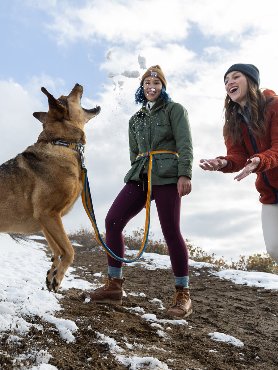 ruffwear-laisse-main-libre-pour-chien-roamer-jaune
