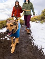 ruffwear-laisse-main-libre-pour-chien-roamer-jaune