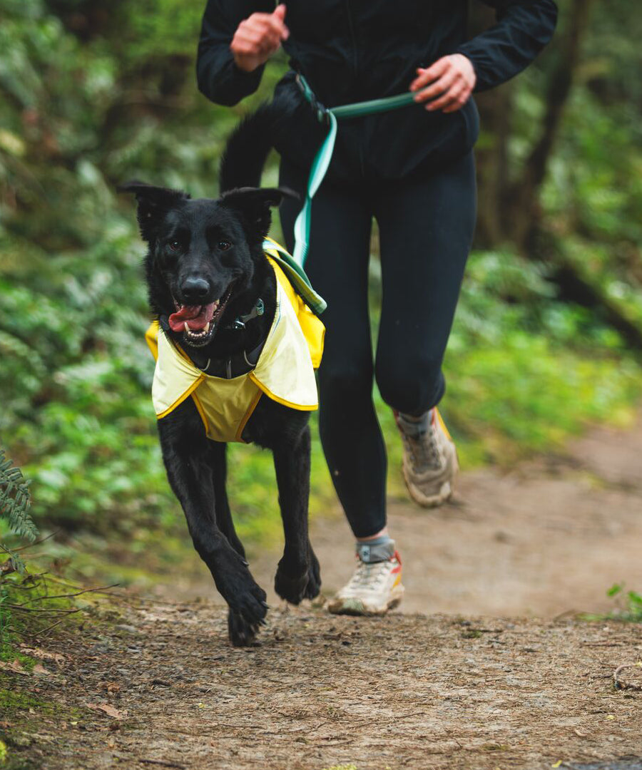 ruffwear-laisse-main-libre-pour-chien-roamer-vert