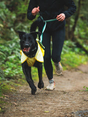 ruffwear-laisse-main-libre-pour-chien-roamer-vert