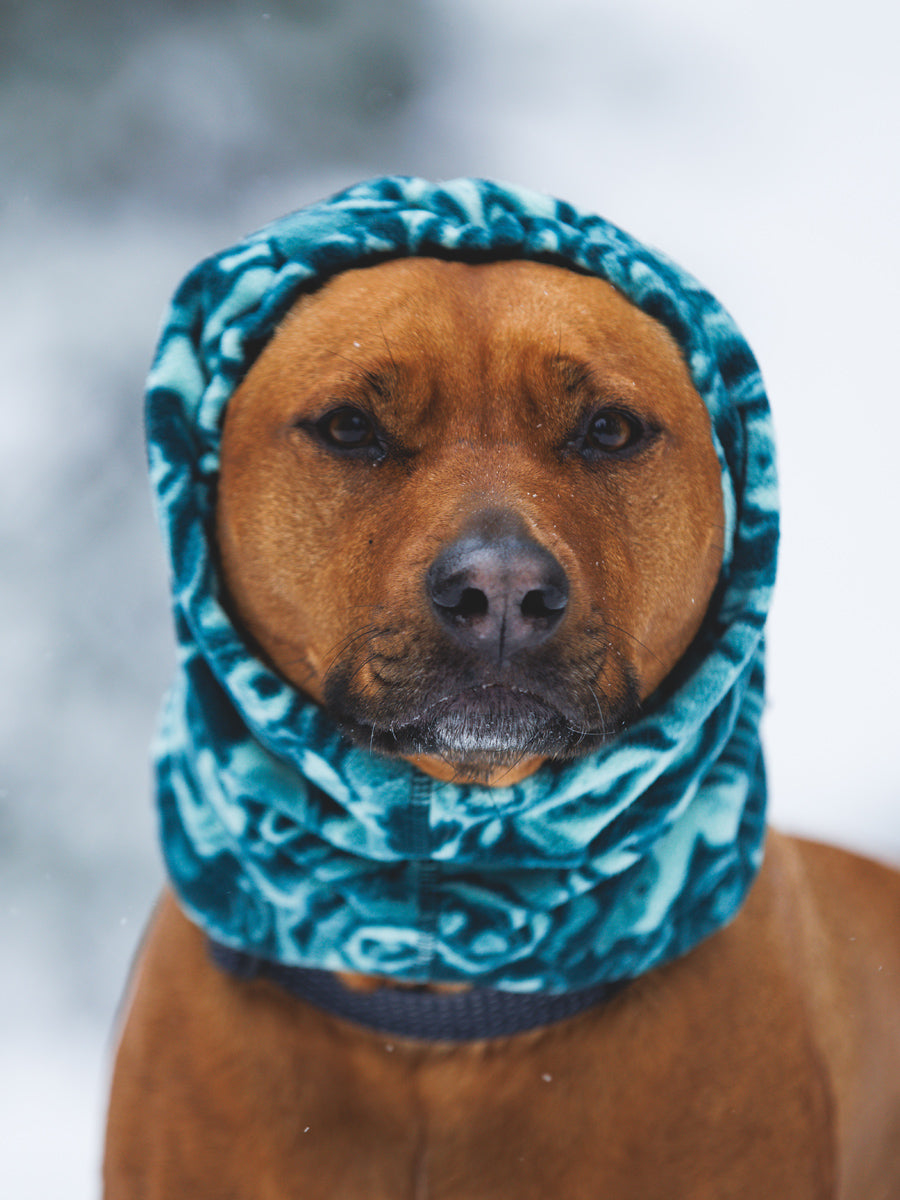 ruffwear-snood-pour-chien-tour-de-cou-Mt-Hoodie-Warming-Neck-Gaiter_Basalt-teal