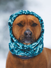 ruffwear-snood-pour-chien-tour-de-cou-Mt-Hoodie-Warming-Neck-Gaiter_Basalt-teal