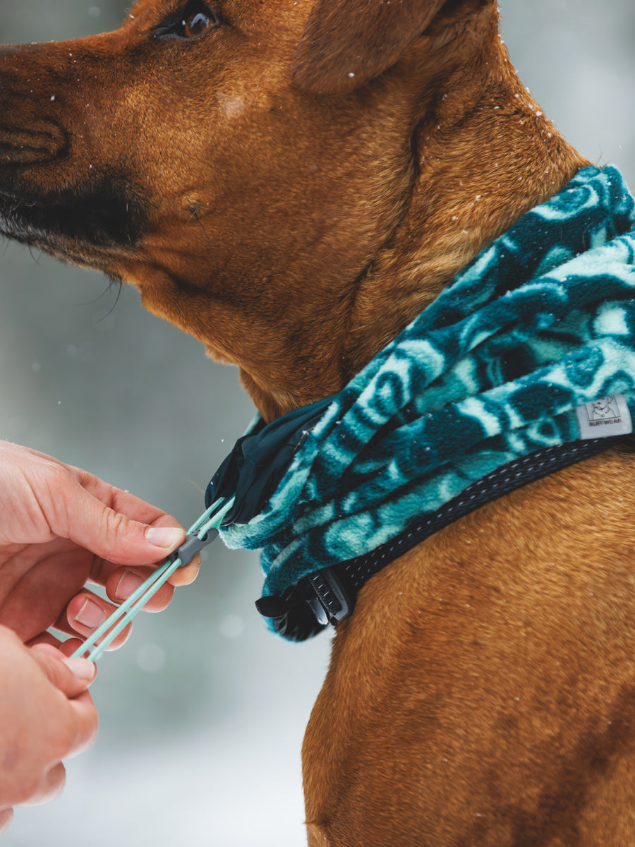 ruffwear-snood-pour-chien-tour-de-cou-Mt-Hoodie-Warming-Neck-Gaiter_Basalt-teal