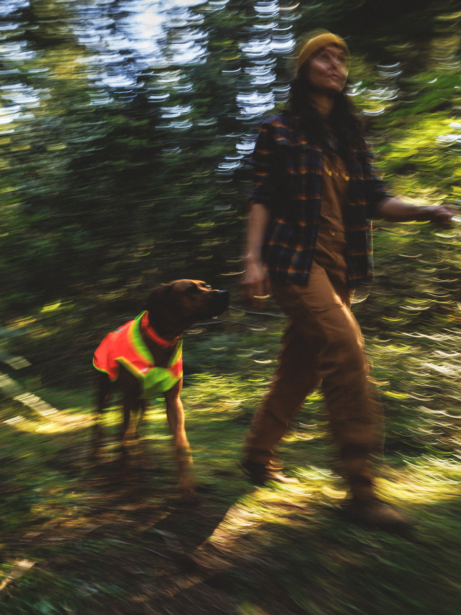 ruffwear-veste-visibilite-pour-chien-Lumenglow-High-Vis-Jacket