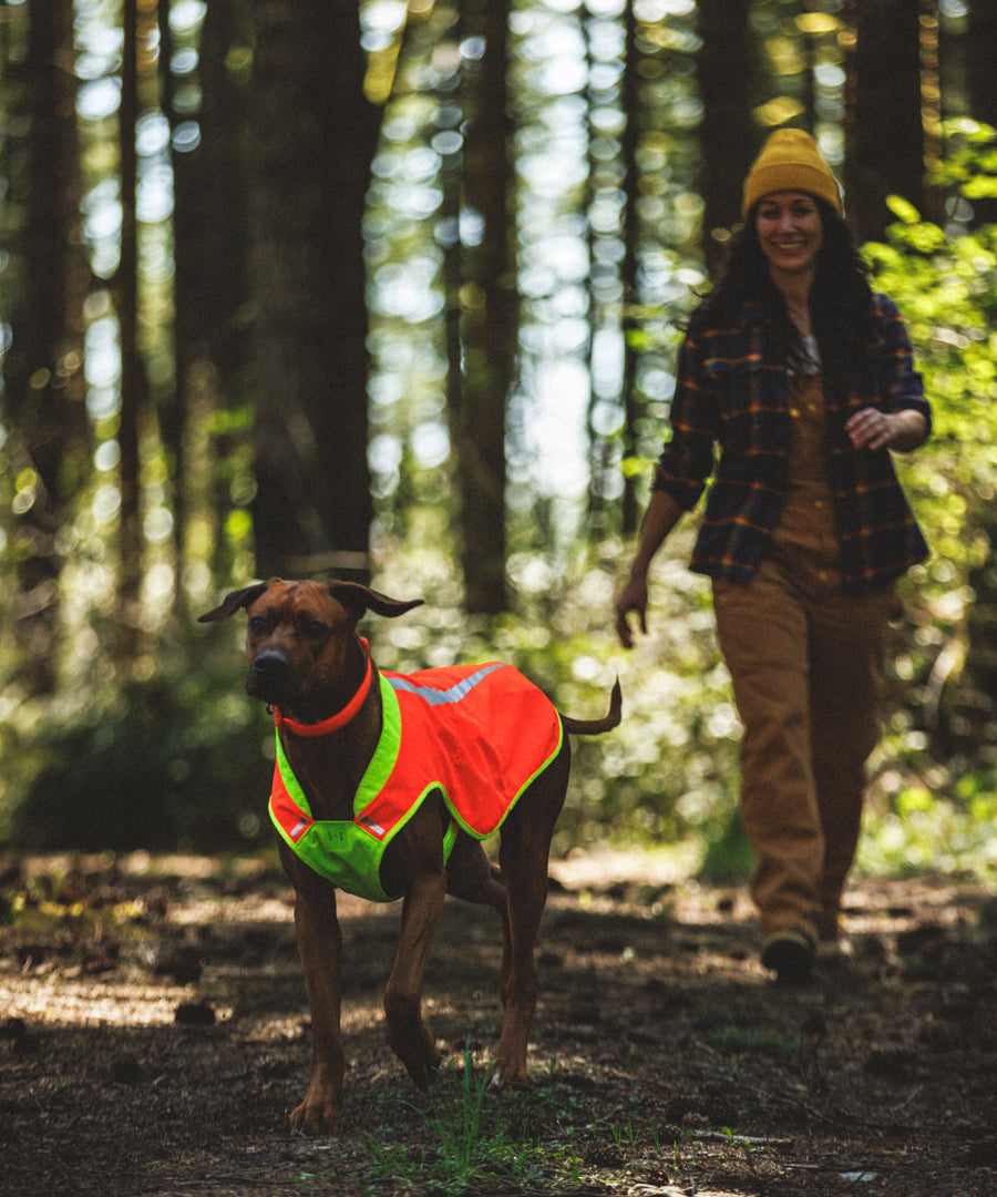 ruffwear-veste-visibilite-pour-chien-Lumenglow-High-Vis-Jacket