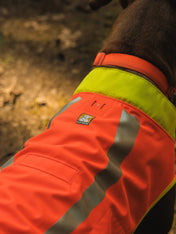 ruffwear-veste-visibilite-pour-chien-Lumenglow-High-Vis-Jacket