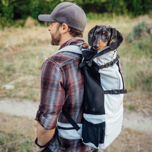 Sac Pack noir pour chien - taille M  Transport et sécurité chiens - Médor  et Compagnie®