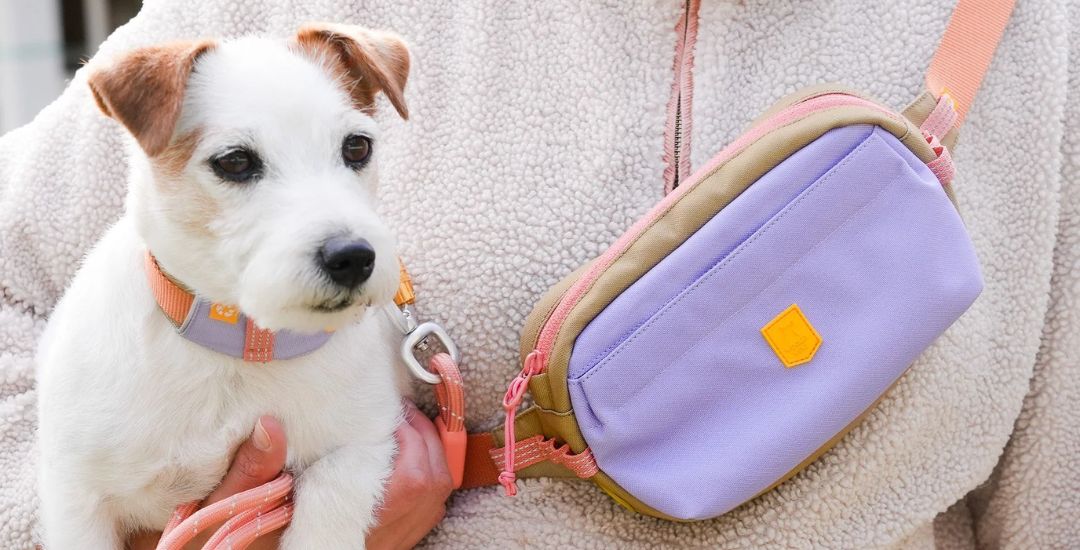 sacs à friandises pour chien inooko bannière