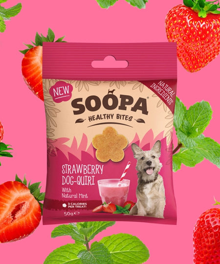 soopa-friandise-naturelles-chien-dog-treat-fraise-menthe