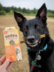         soopa-friandise-naturelles-chien-stick-dentaire-carotte-citrouille