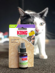 spray-herbe-a-chat-KONG