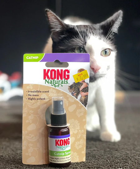 spray-herbe-a-chat-KONG