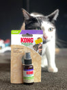 spray-herbe-a-chat-KONG