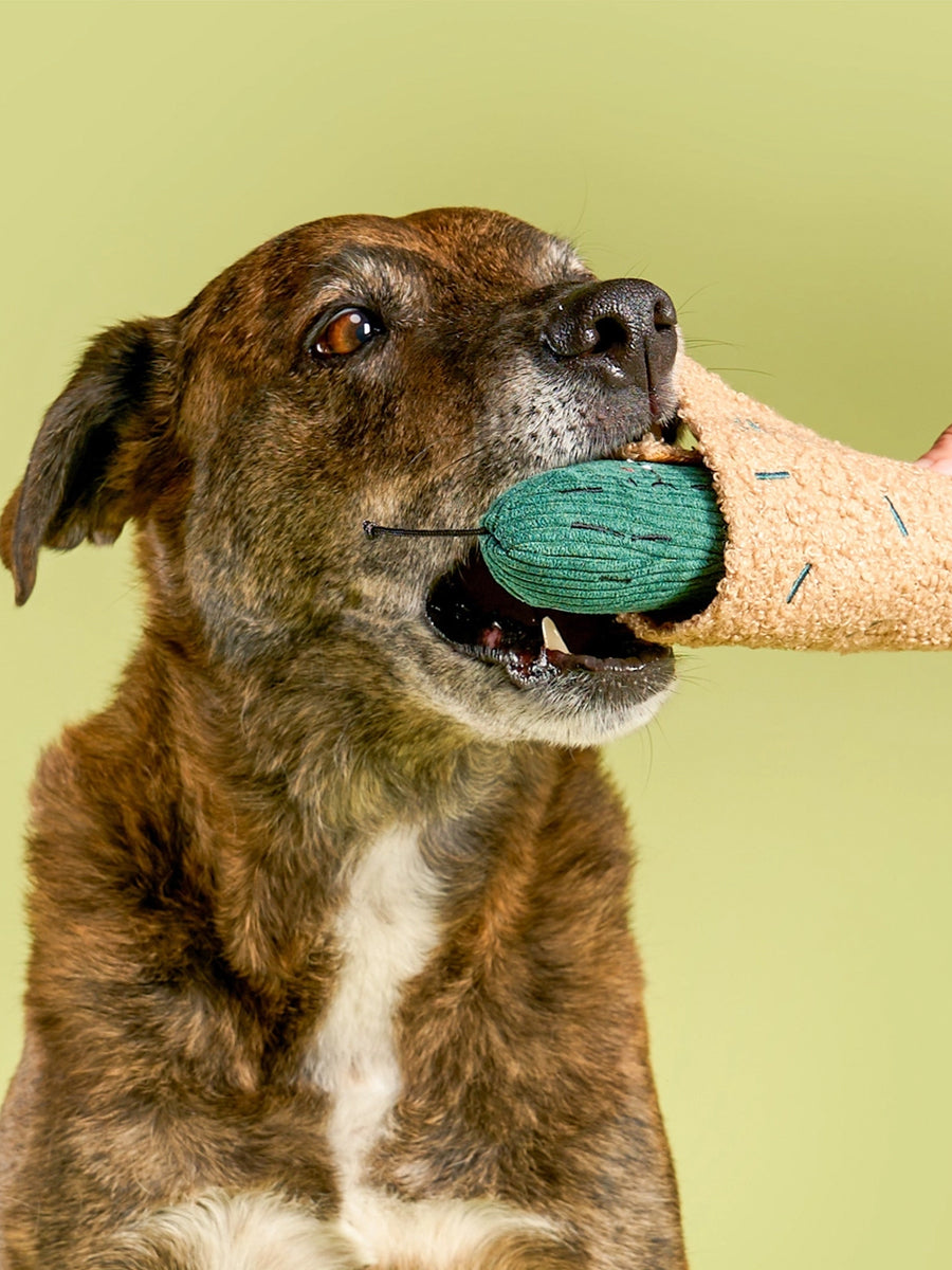 the-furry-folks-jouet-de-fouille-puzzle-interactif-pour-chien-cornichon
