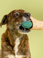 the-furry-folks-jouet-de-fouille-puzzle-interactif-pour-chien-cornichon