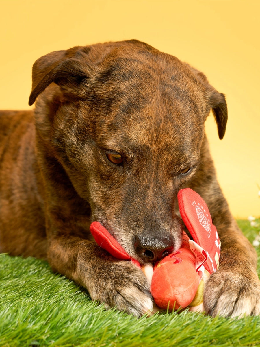 the-furry-folks-jouet-de-fouille-puzzle-interactif-pour-chien-hotdog