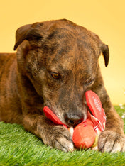 the-furry-folks-jouet-de-fouille-puzzle-interactif-pour-chien-hotdog