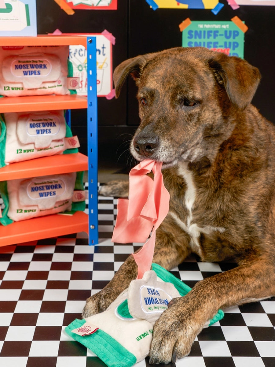 the-furry-folks-jouet-de-fouille-puzzle-interactif-pour-chien-lingette