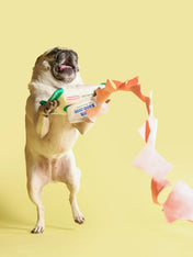 the-furry-folks-jouet-de-fouille-puzzle-interactif-pour-chien-lingette