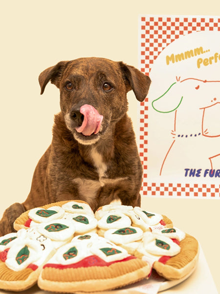 the-furry-folks-jouet-de-fouille-puzzle-interactif-pour-chien-pizza