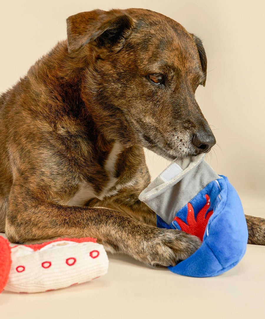 the-furry-folks-jouet-de-fouille-puzzle-interactif-pour-chien-poulpe