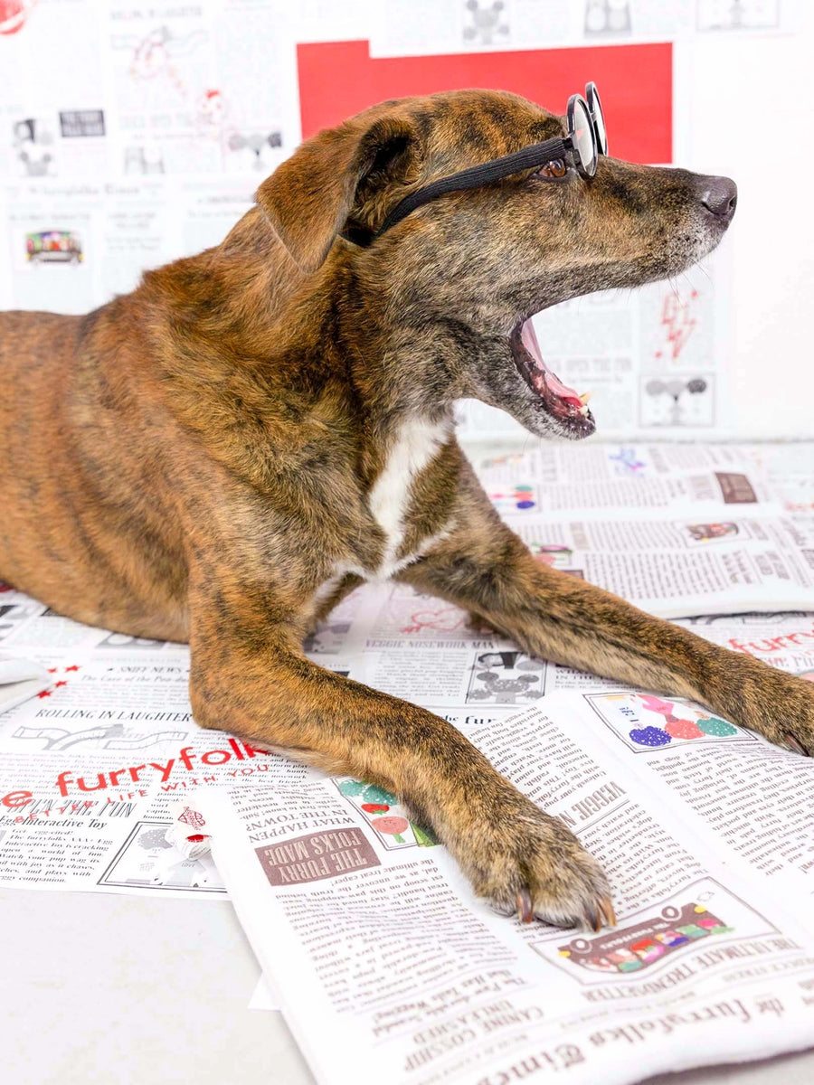the-furry-folks-tapis-de-fouille-puzzle-interactif-pour-chien-journal-2026