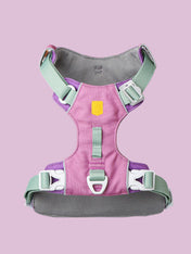 woollywolf-harnais-Alpha-360-Harness-mauve