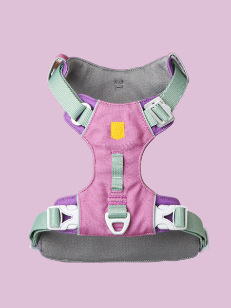 woollywolf-harnais-Alpha-360-Harness-mauve