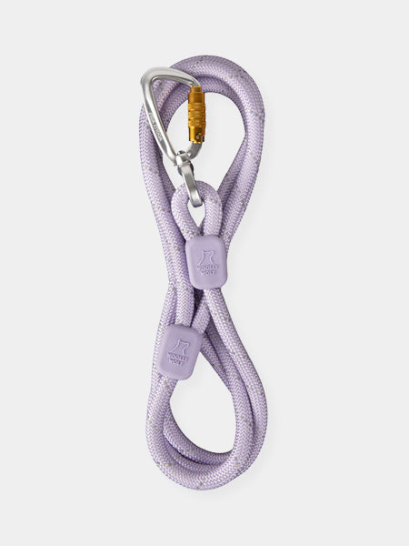 woolywolf-collier-design-pour-chien-lavende-violet