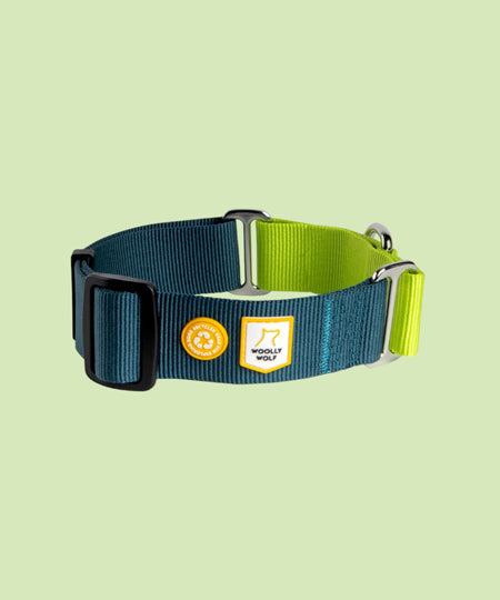 woolywolf-collier-martingale-design-pour-chien-deep-teal