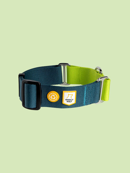 woolywolf-collier-martingale-design-pour-chien-deep-teal