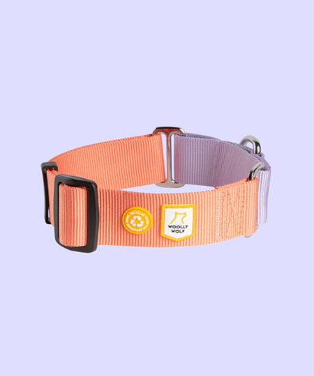 woolywolf-collier-martingale-design-pour-chien-pink