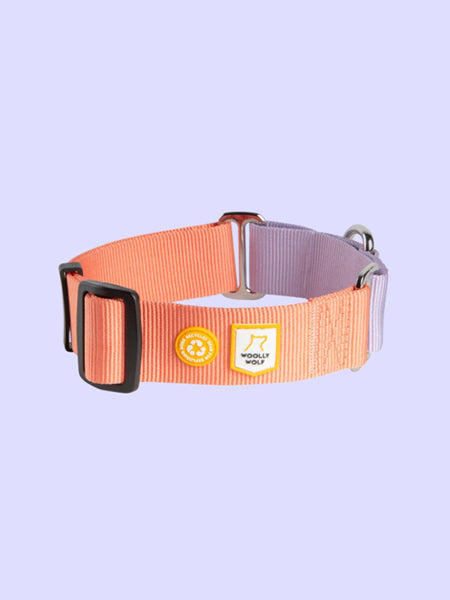 woolywolf-collier-martingale-design-pour-chien-pink
