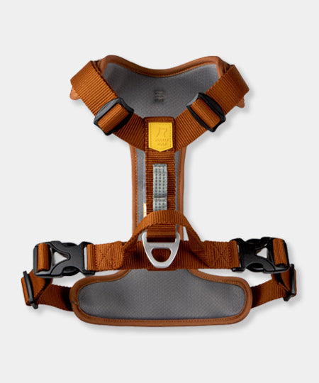        woolywolf-harnais-Roam-Harness-Terracotta-Ripple