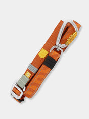    woolywolf-laisse-Roam-Harness-terracotta-Ripple