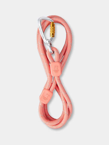 1 LAISSE CHIEN corde nylon NOIR solide + 1 ceinture de sécurité