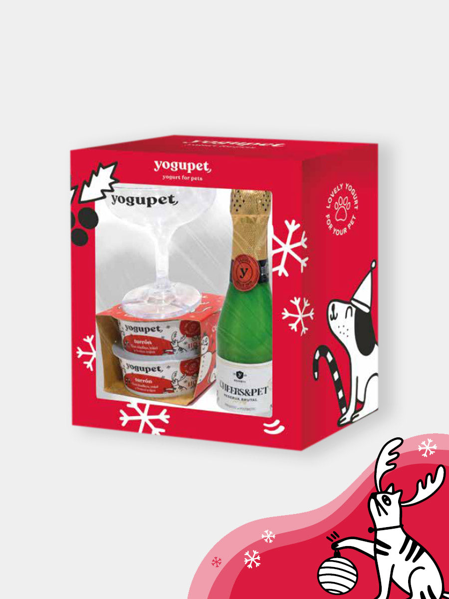 yogupet-box-de-noel-pour-chien-2025-box
