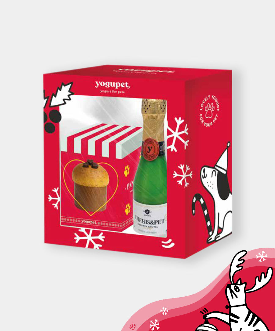 yogupet-box-de-noel-pour-chien-2025-box