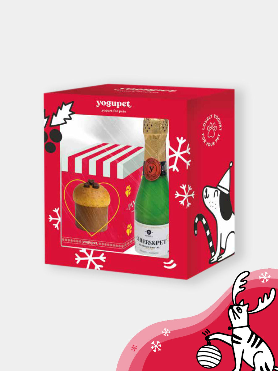 yogupet-box-de-noel-pour-chien-2025-box