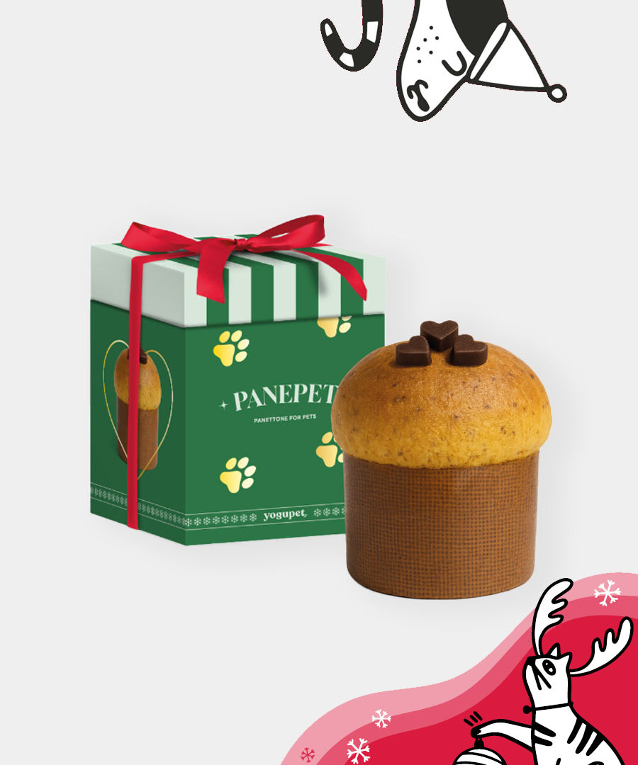 yogupet-friandise-panepet-pour-chien-2025