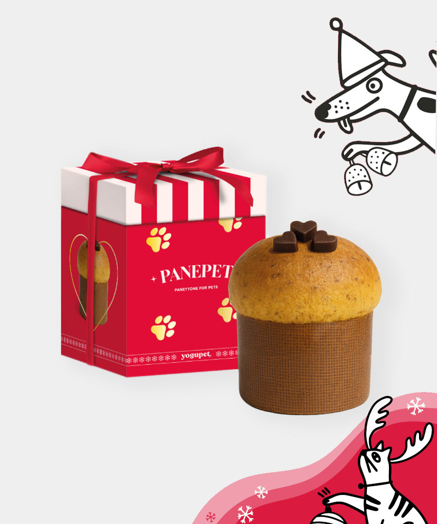 yogupet-friandise-panepet-pour-chien-2025