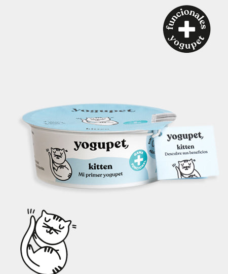     yogupet-friandise-yaourt-pour-chaton