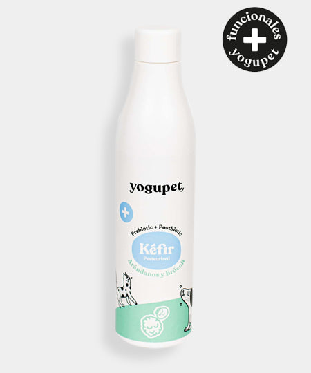 yogupet-kefir-prebiotique-yaourt-pour-chien