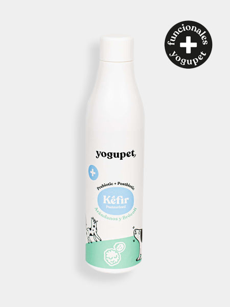 yogupet-kefir-prebiotique-yaourt-pour-chien