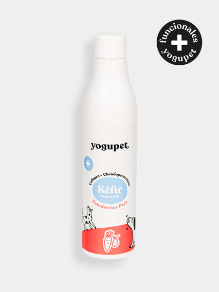 yogupet-kefir-prebiotique-yaourt-pour-chien-poire-carotte