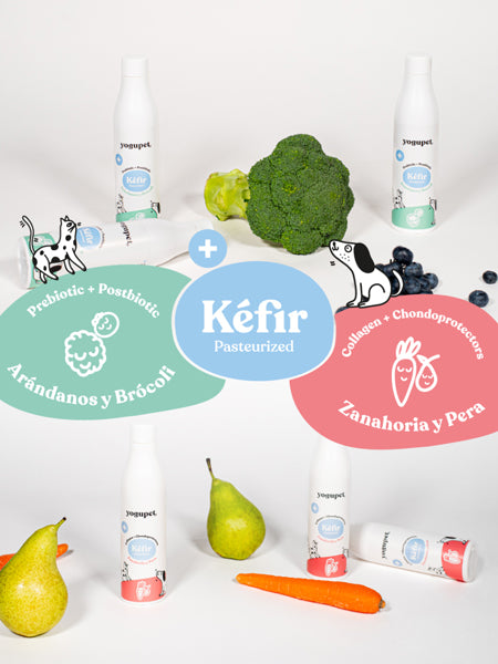 yogupet-kefir-prebiotique-yaourt-pour-chien