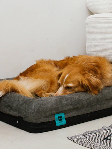 zee-dog-Panier-pour-chien-Zee.Bed-Skull