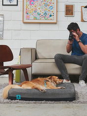 zee-dog-Panier-pour-chien-Zee.Bed-Skull